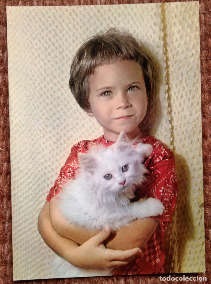Cartes Postales: NI&Ntilde;A CON GATO