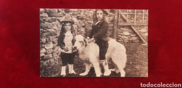 Postcards: Antigua postal Pirineos carte postale ancienne Pyrenees jeunes ossalois france san bernardo perro