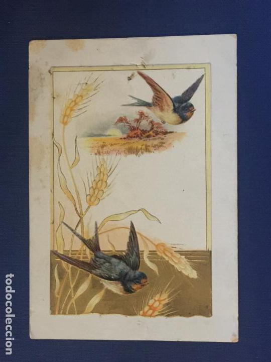 Cartes Postales: POSTAL EN RELIEVE DE PAJAROS. SIN CIRCULAR.