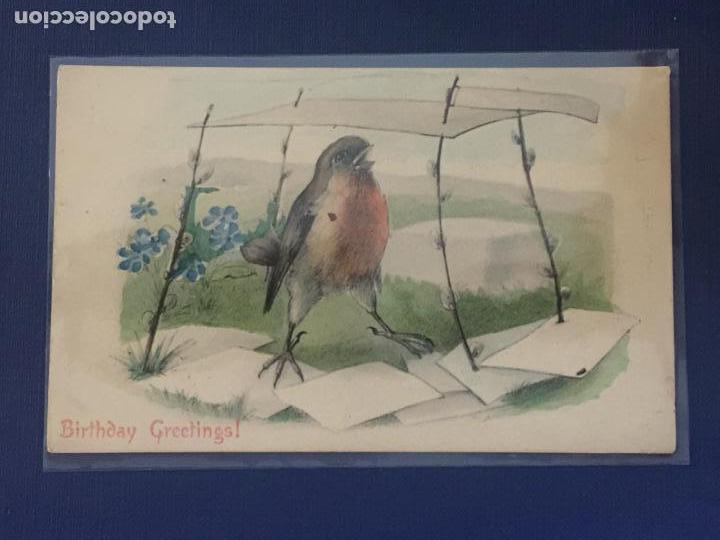 Cartes Postales: POSTAL ILUSTRADA DE PAJAROS PARA CUMPLEA&Ntilde;OS. SERIES 681.3. SIN CIRCULAR.
