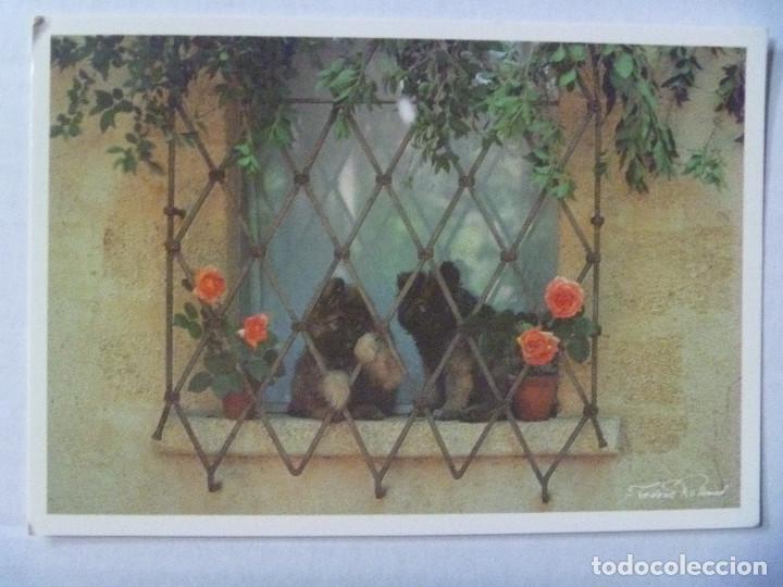 Postales: POSTAL DE PERROS . FRANCIA