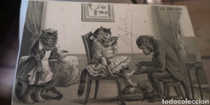 Postales: Postal troquelada de gatos y monos a&ntilde;o 1903
