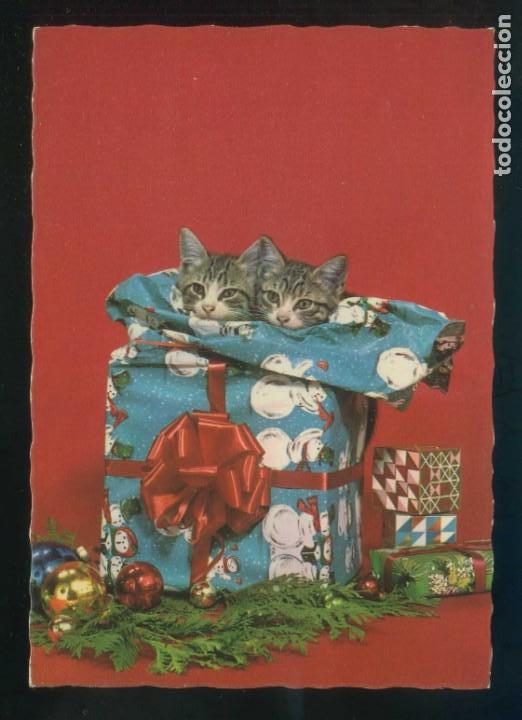 Postais: Gato. Ed. M. D. n&ordm; 5930. Fabricaci&oacute;n francesa. Nueva.