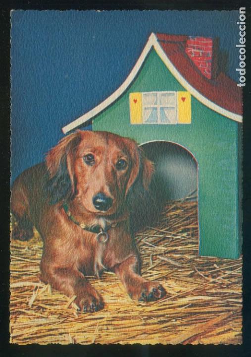 Cartes Postales: Perro. Ed. Cecami n&ordm; 1273. Fabricaci&oacute;n italiana. Al dorso *Kodak Ektachrome* Nueva.