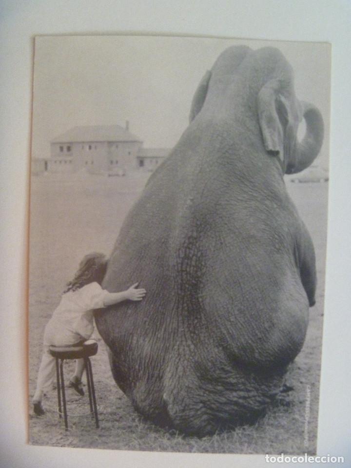 Postales: POSTAL DE DINAMARCA : NI&Ntilde;A CON ELEFANTE - Foto 1