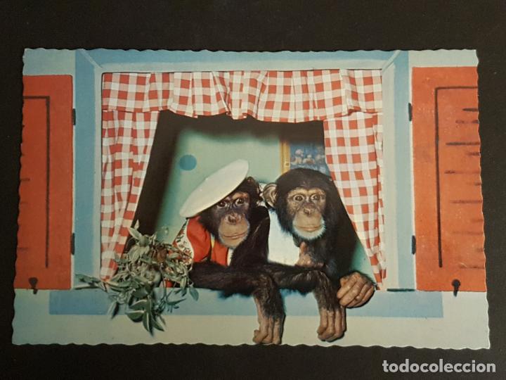 Postales: MONOS VESTIDOS POSTAL - Foto 1