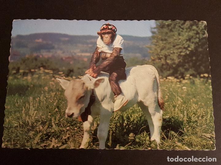 Postales: MONOS VESTIDOS POSTAL - Foto 1