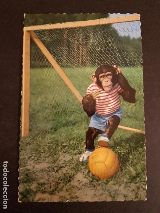 Postales: MONOS VESTIDOS POSTAL - Foto 1