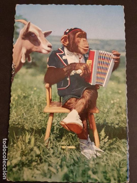 Postales: MONOS VESTIDOS POSTAL - Foto 1
