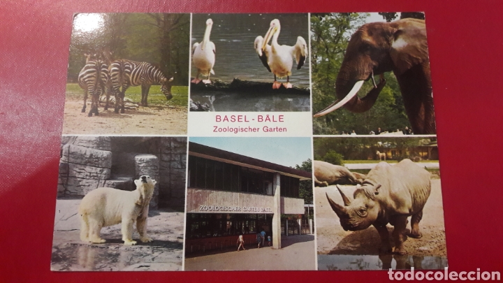 Postales: Zoologico Basel..bale - Foto 1