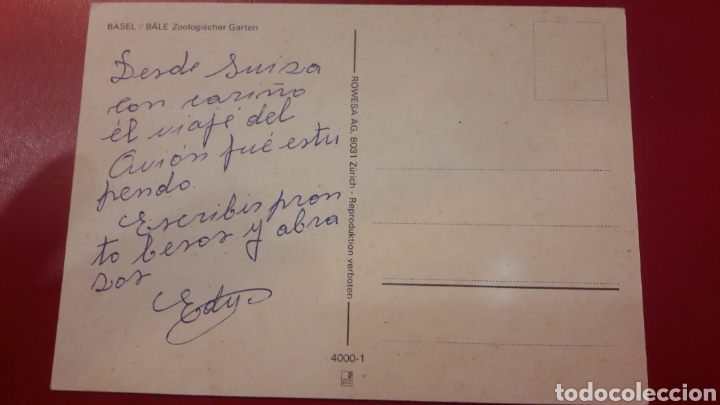 Postales: Zoologico Basel..bale - Foto 2