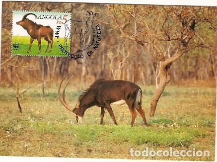 Cartes Postales: Angola & WWF Ant&iacute;lope Sable Gigante, Hippotragus Niger Variani, Sable Gigante, Malange 1990 (6867)