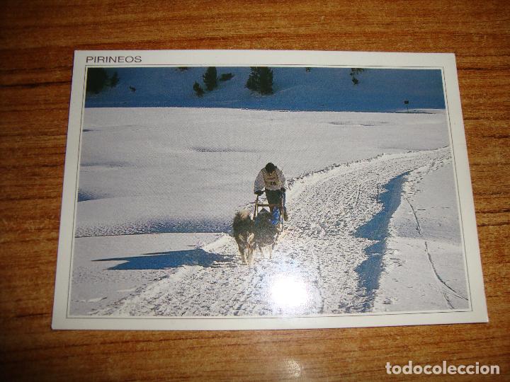 Postcards: (ALB-TC-45) POSTAL TEMA ANIMALES SERIE PIRINEOS CARRERA DE TRINEOS
