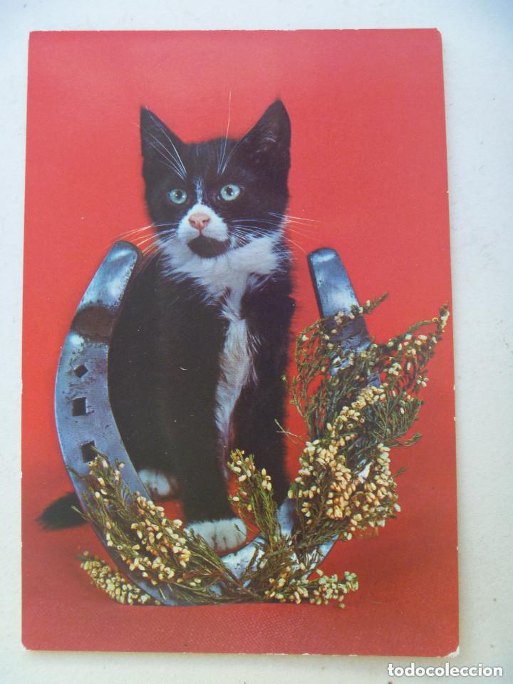 Postkarten: BONITA PORTAL DE GATO Y HERRADURA DE LA SUERTE . A&Ntilde;OS 60