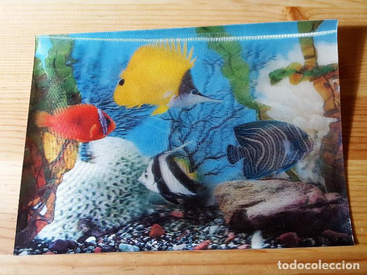 Postcards: Tarjeta postal 3D Acuario Peces