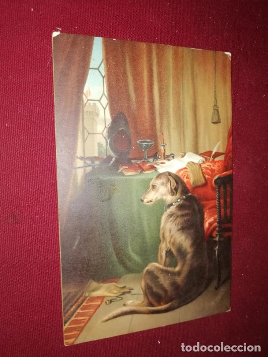 Postales: Perro. Postal antigua