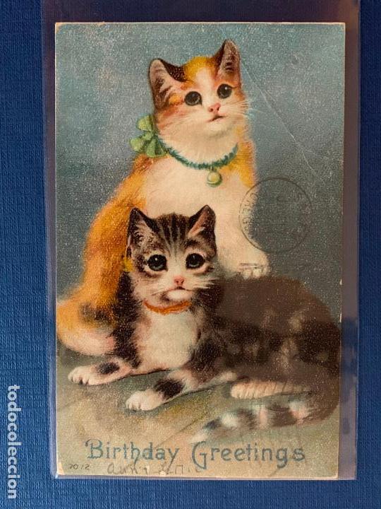 Postcards: POSTAL FELICITACI&Oacute;N DE GATITOS. CIRCULADA 1916.