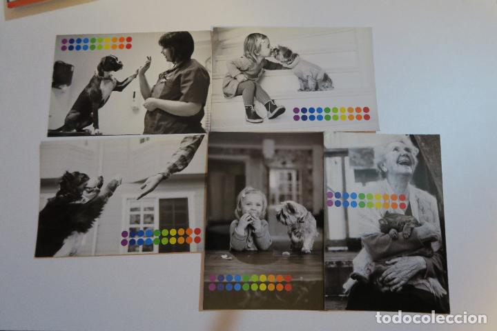 Postkarten: 5 POSTALES INTERVET SALUD PARA TU MASCOTA