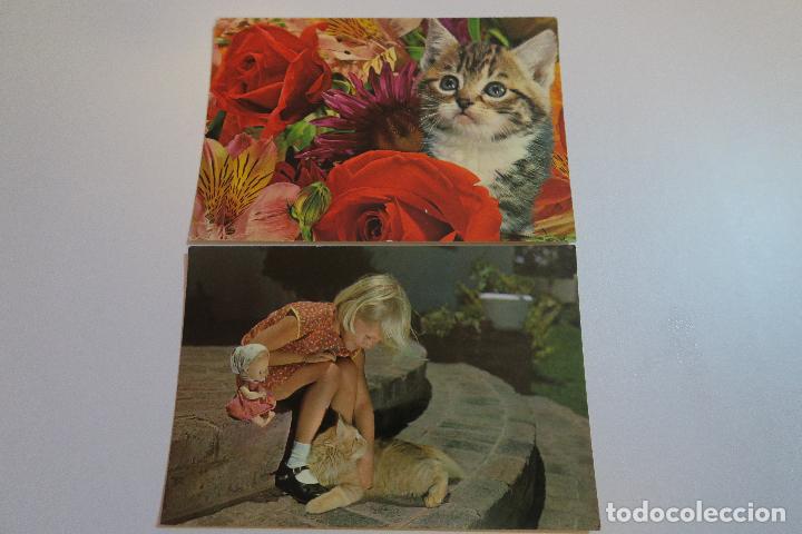 Postkarten: 2 POSTALES GATOS A&Ntilde;OS 70 C Y Z
