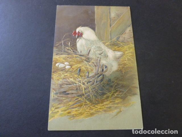 Postales: GALLINA CON NIDO POSTAL EN RELIEVE - Foto 1