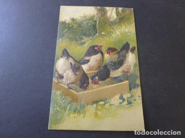 Postales: GALLINAS POSTAL EN RELIEVE - Foto 1