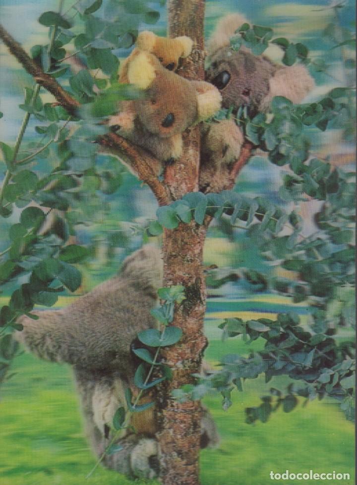 Postales: postal tridimensional koala - Foto 1
