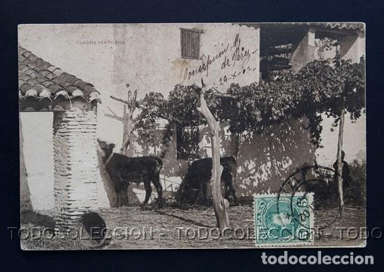 Postcards: POSTAL UNA CUADRA VENTILADA . COLECCION CANOVAS - HAUSER Y MENET CA A&Ntilde;O 1900