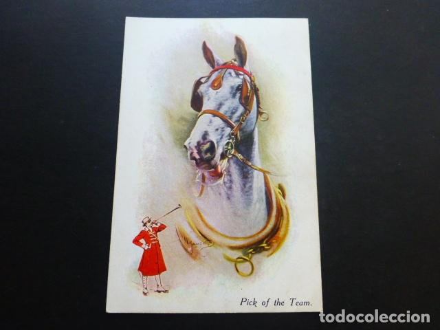 Postales: postal hipica caballo - Foto 1
