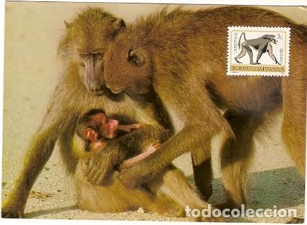 Postcards: Botswana & Postal, Chacma Baboons, Papio Ursinus 1977 (156)