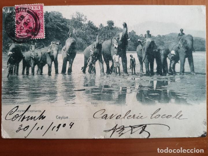 Postcards: POSTAL ANIMALES ELEFANTES  CEYLAN ELEPHANTS ELEFANTE DE ASIA CIRCULADA 1904 SRI LANKA PERFECTA CONSE