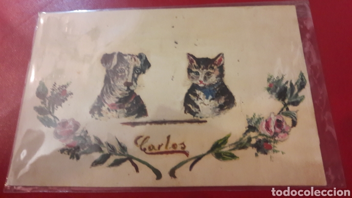 Postales: Postal &Oacute;leo animales Carlos oleo original Gatos