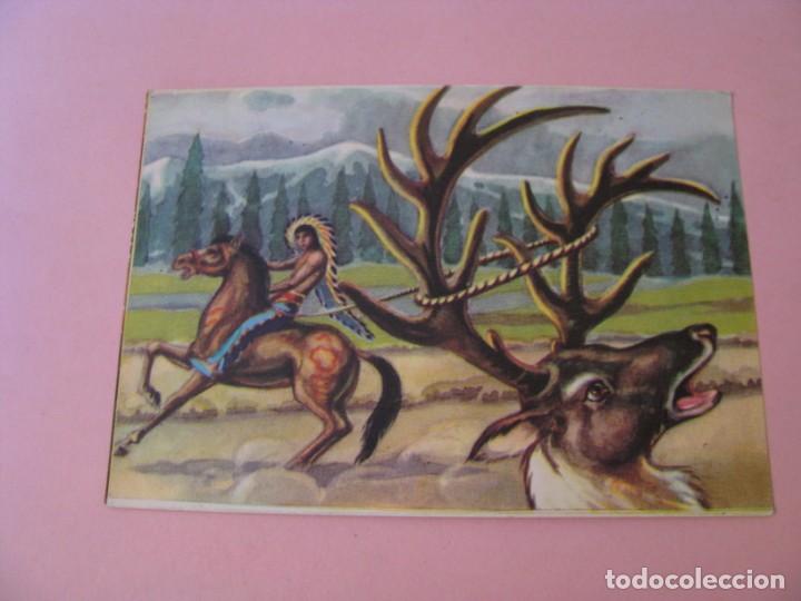 Postais: POSTAL DE ED. TARJEFHER. LOS INDIOS. N&ordm; 507.