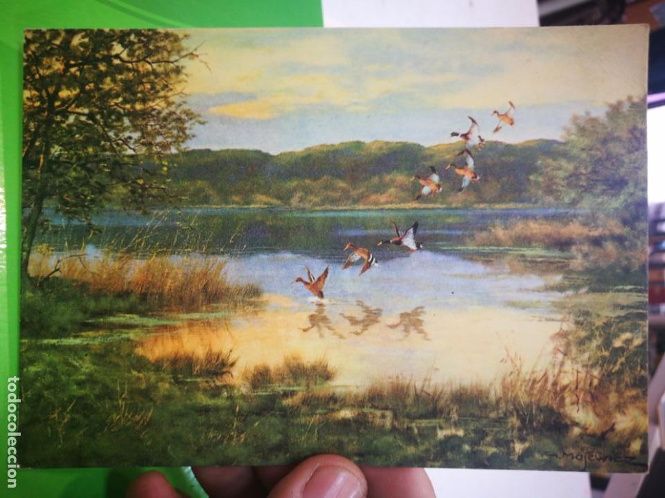 Postais: Postal Alemana Patos 1963 Von George Majewicz