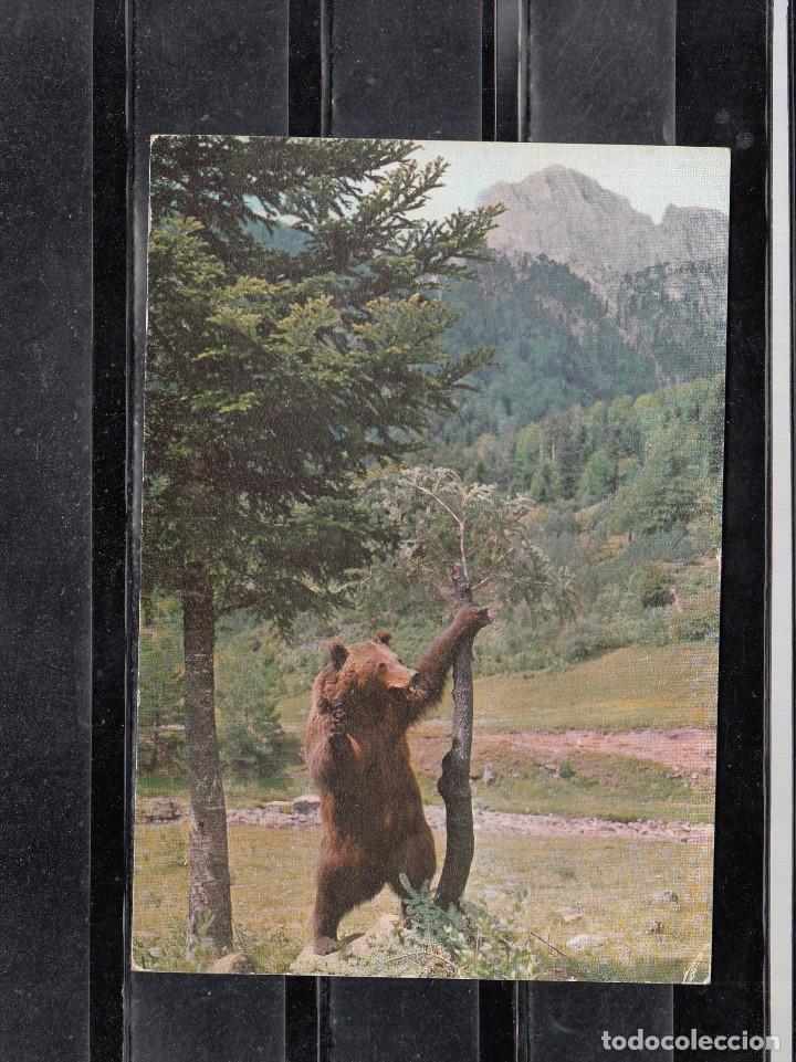 Postais: N&ordm; 5 - HECHO PIRINEO ARAGON&Eacute;S. OSO