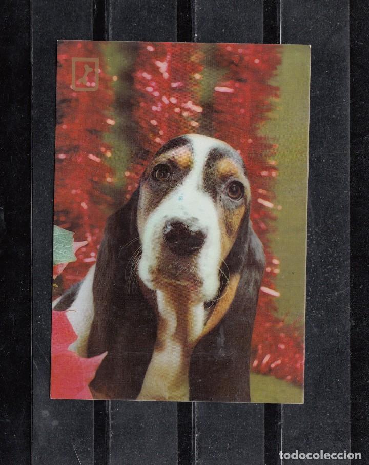 Postais: PERRO. SERIE 3116/3