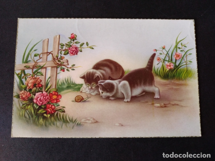 Postales: GATOS CON CARACOL POSTAL - Foto 1