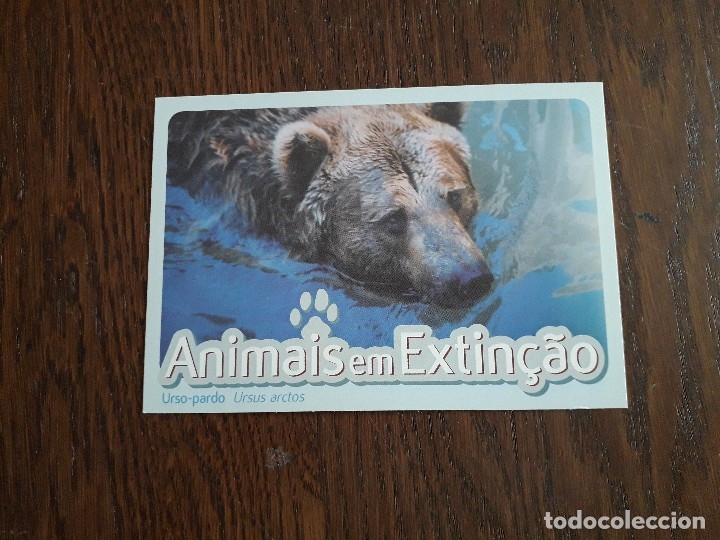 Postales: postal de animales, Oso pardo, en peligro de extinci&oacute;n. Portugal.