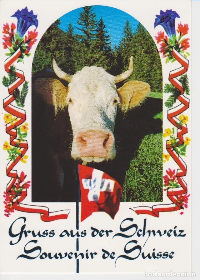 Postales: POSTAL VACA SUIZA - Foto 1