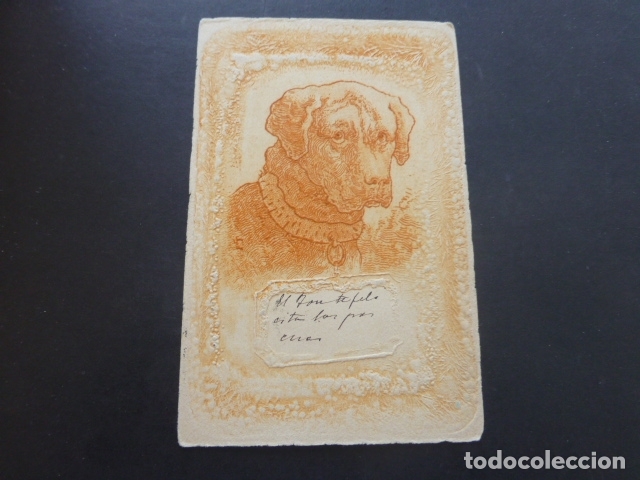Postales: PERRO DE CAZA POSTAL EN RELIEVE 1901 - Foto 1