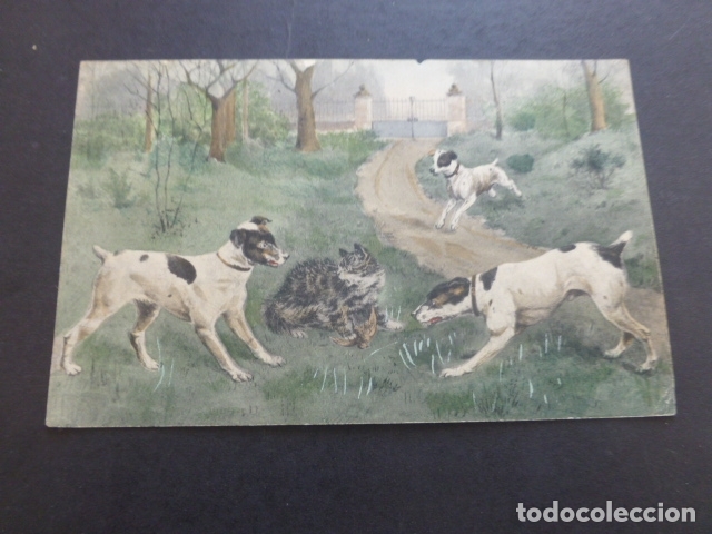 Postales: PERROS CON GATO POSTAL VIENNE - Foto 1