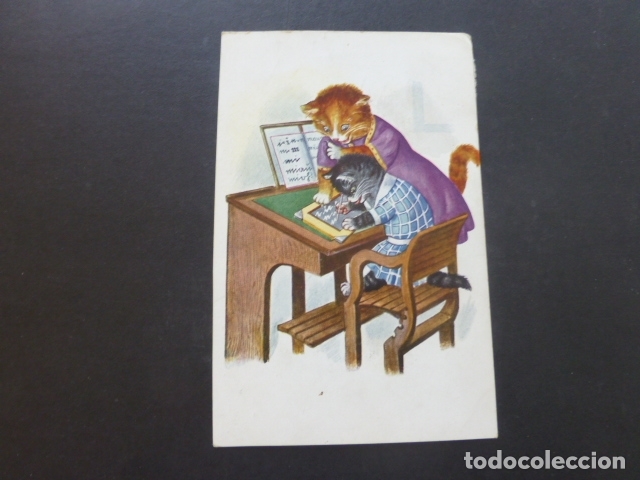 Postales: GATOS EN LA ESCUELA POSTAL - Foto 1