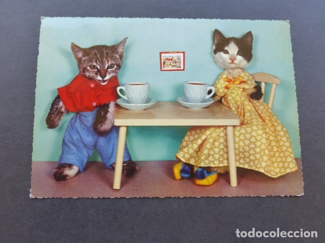 Postales: GATOS VESTIDOS POSTAL - Foto 1