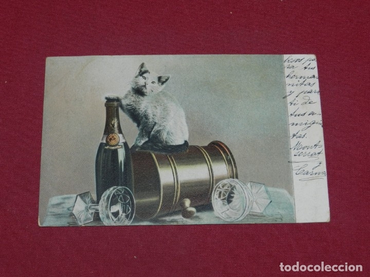 Postales: (MCAJON2) POSTAL ROM&Aacute;NTICA PRINCIPIOS S.XX ESCENA DE GATOS , SE&Ntilde;ALES DE USO NORMALES