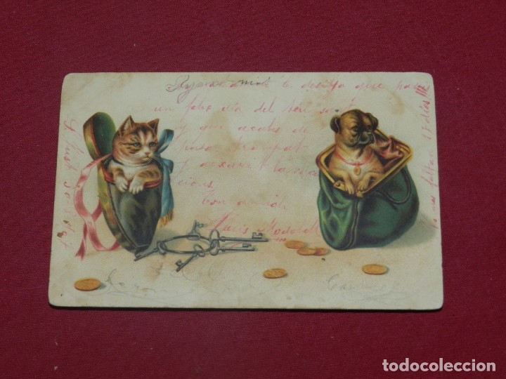 Postales: (MCAJON2) POSTAL ROM&Aacute;NTICA PRINCIPIOS S.XX ESCENA DE GATOS , SE&Ntilde;ALES DE USO NORMALES