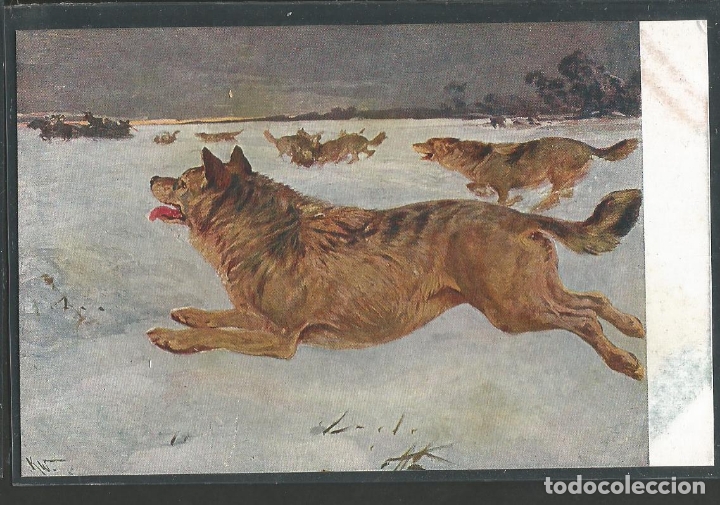 Postais: LOBOS-POSTAL ANTIGUA-(61.995)