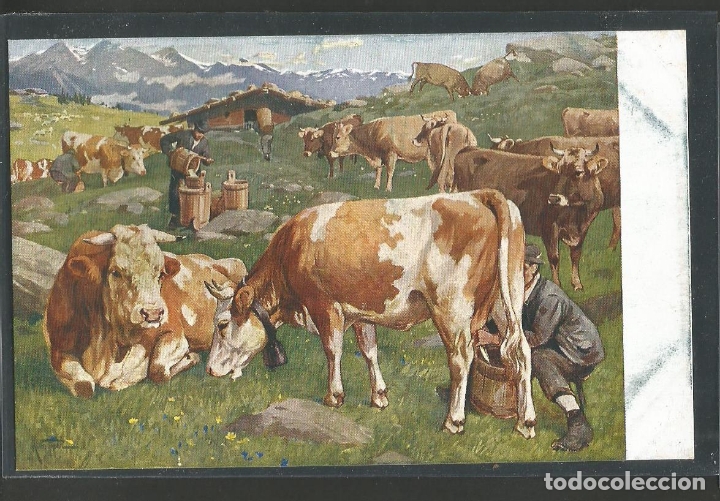 Postais: VACAS-POSTAL ANTIGUA-(62.001)