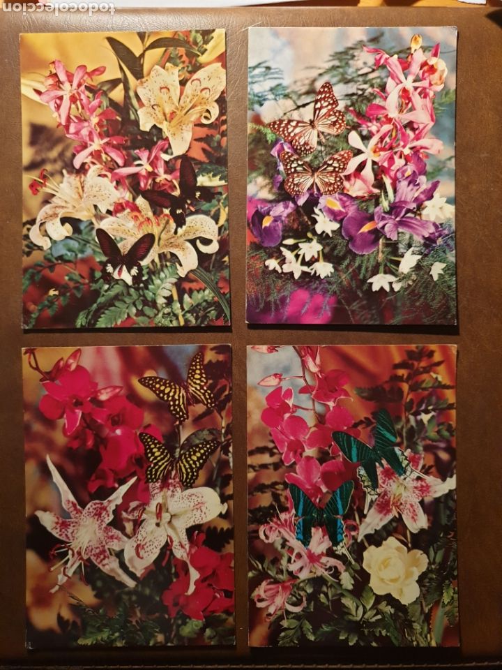 Postcards: Lote de 4 postales alemanas diferentes, con flores y mariposas. - Ed Kruger.