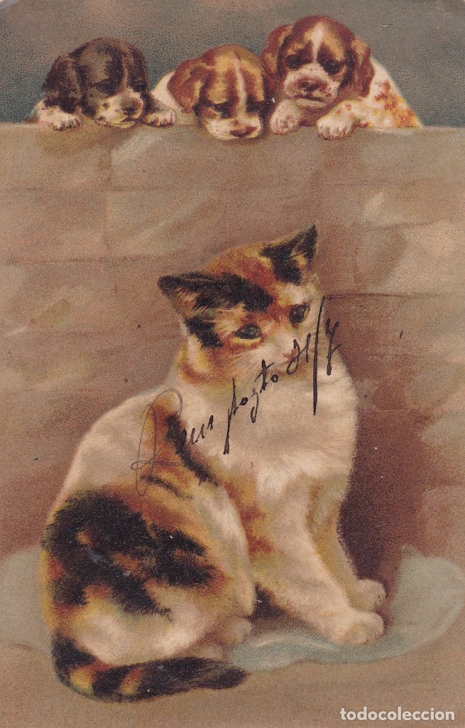 Postales: Postal escrita con gato y perros - Foto 1