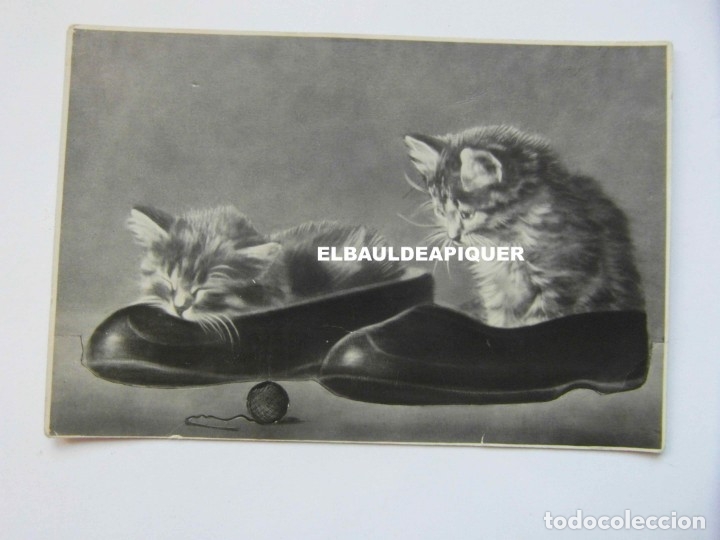 Postkarten: ANTIGUA POSTAL RUSA. 2 GATOS y un ovillo. sin circular