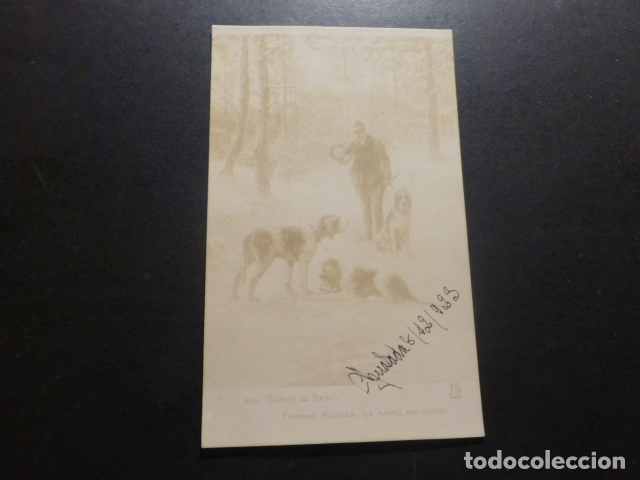 Postales: PERROS DE CAZA POSTAL - Foto 1
